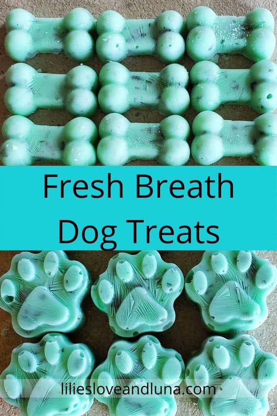 Pin image for Fresh Breath Dog Treats with paw and bone shaped frozen treats.