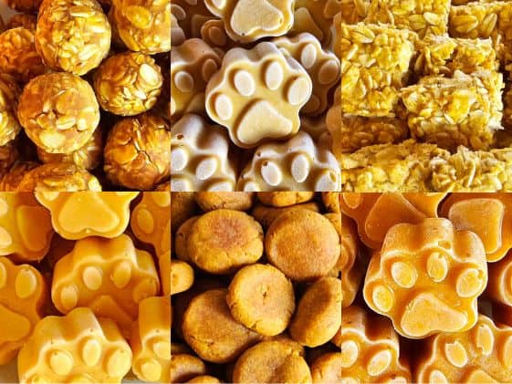 A collage of pumpkin dog treats.