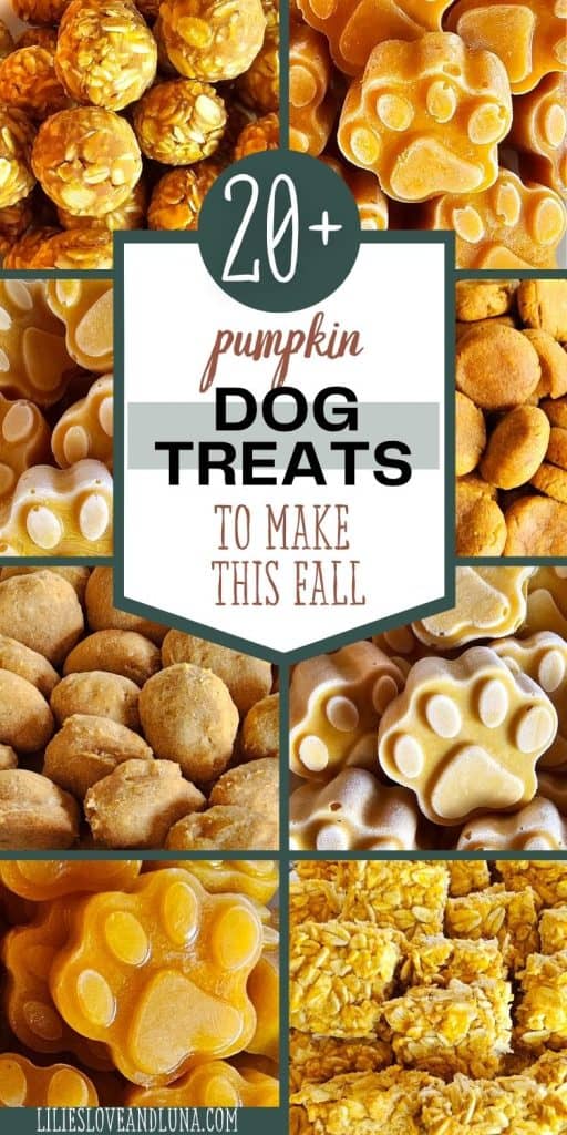 A collage of various homemade pumpkin dog treats, including biscuits and paw-shaped snacks, with a title highlighting over 20 recipes for fall.