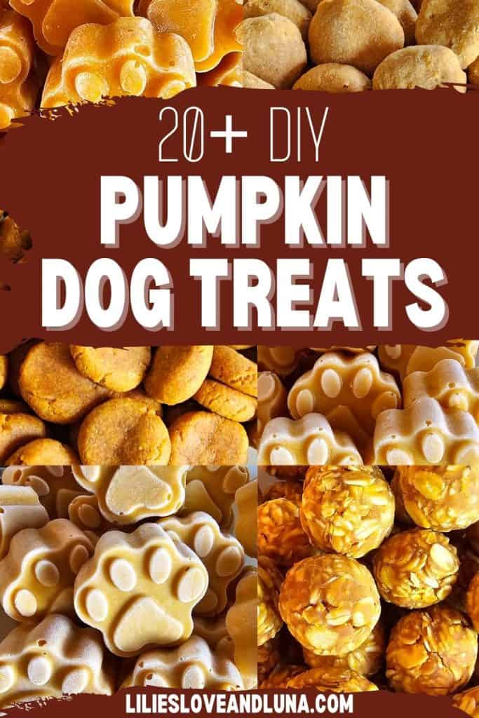 A collage of various homemade dog treats, including pumpkin-based snacks shaped like paw prints and round balls, highlighting recipes for DIY dog treats suitable for autumn flavors.
