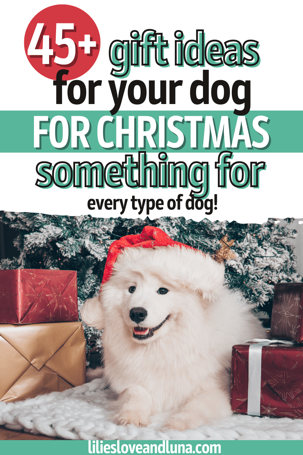 Pin image for 45+ gift ideas for your dog for Christmas, something for every type of dog with a white dog lyaing in front of a Christmas tree with gifts.