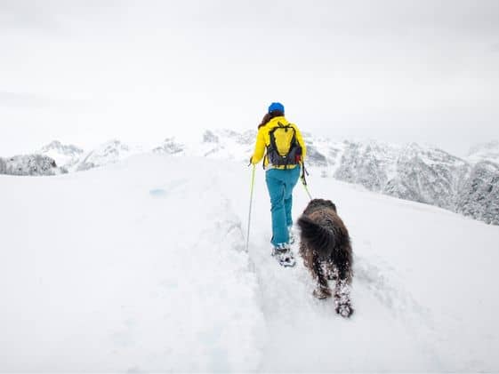 A woman snowshoeing with her dog following her in the mountains.