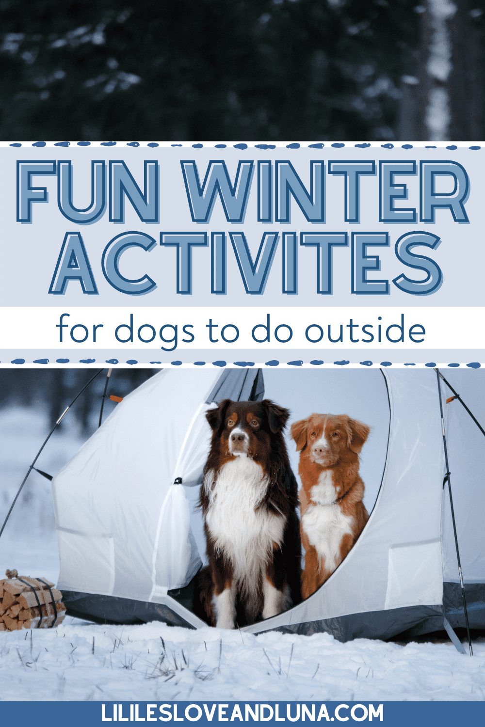 Pin image for fun winter activites for dogs to do outside with two dogs in a tent in the snow.