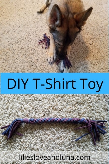 Pin image of a German shepherd playing with a t-shirt toy above the words "DIY t-shirt toy" and a t-shirt tug toy below those words.