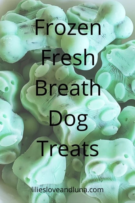 Pin image of paw shaped frozen mint dog treats with the words frozen fresh breath dog treats.