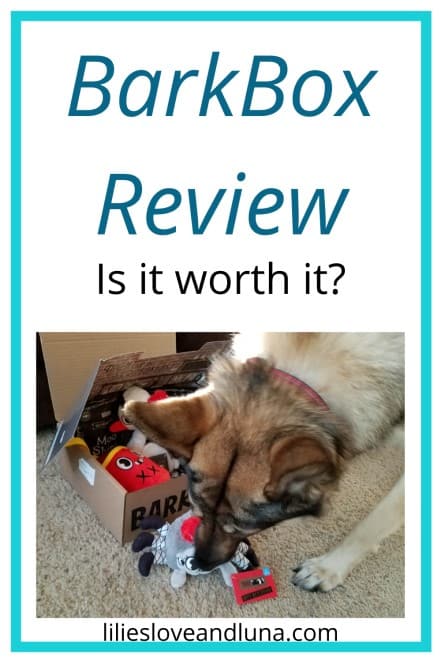 Pin image of a German Shepherd sniffing a BarkBox dog toy with the words BarkBox Review Is it worth it?