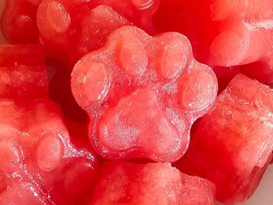 Close up of paw shaped watermelon dog treats.