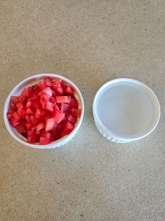 Watermelon and water in white bowls on the counter.