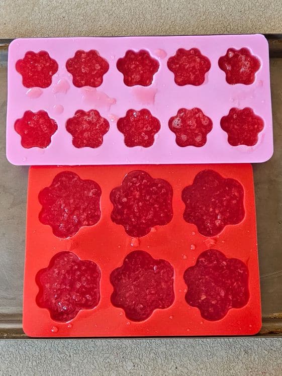 Watermelon dog treats in paw shaped molds, ready for the freezer.