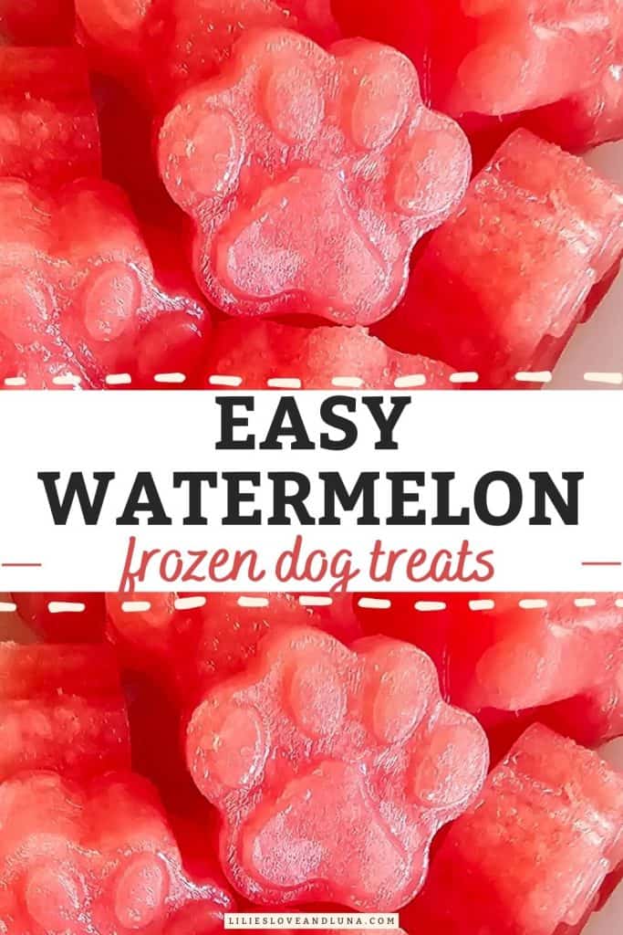 A close-up image of red, paw-shaped frozen dog treats made from watermelon, labeled as "Easy Watermelon Frozen Dog Treats."