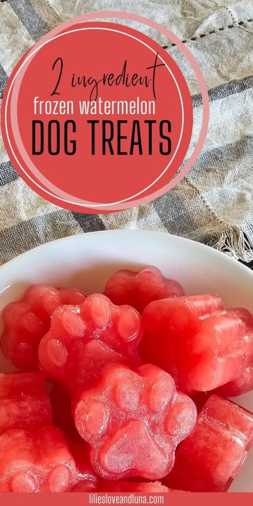A plate of frozen watermelon dog treats shaped like paw prints, labeled as "2 ingredient frozen watermelon dog treats," sits on a textured fabric surface.