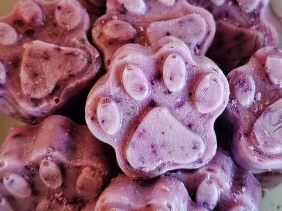 Paw shaped frozen blueberry dog treats.