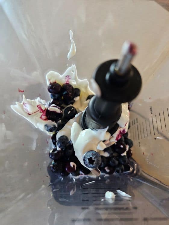 Blueberries and yogurt in a blender.