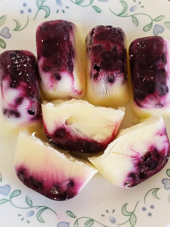 Ice cube shaped frozen yogurt with blueberries on the bottom.
