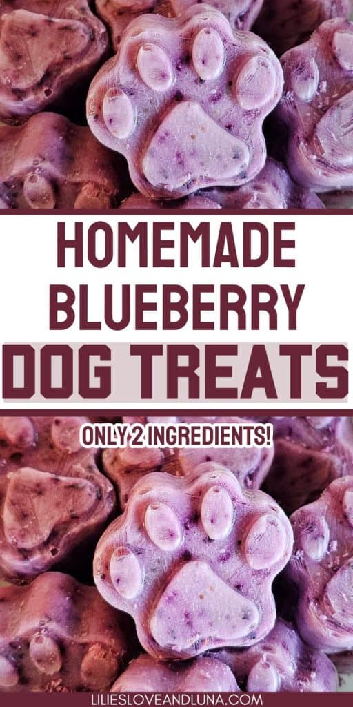 A close-up image of paw-shaped homemade blueberry dog treats made with only two ingredients, suitable for summer dog snacks and DIY frozen fruit dog treats.