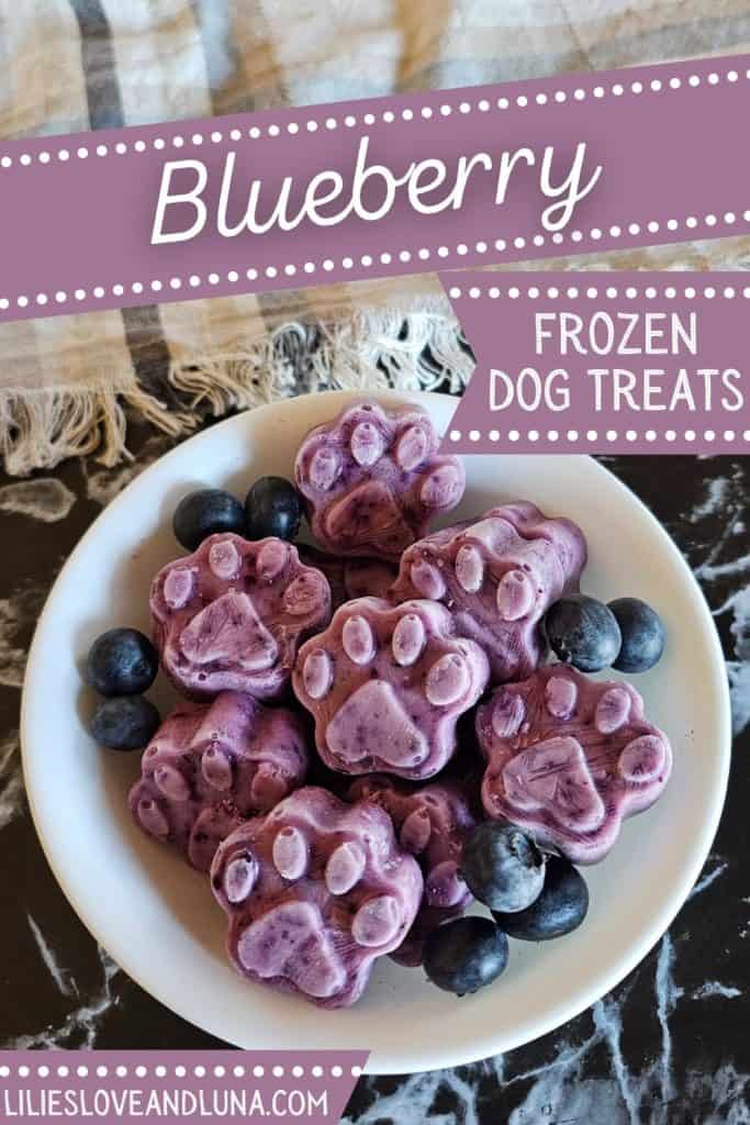 A plate of frozen blueberry dog treats shaped like paw prints is displayed with fresh blueberries on a marble surface.