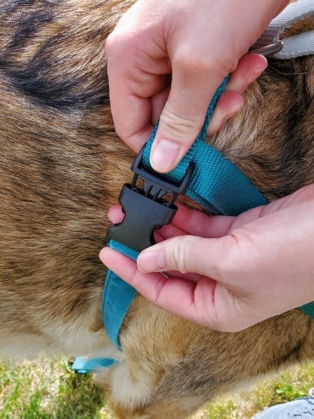 Clip on side of harness.