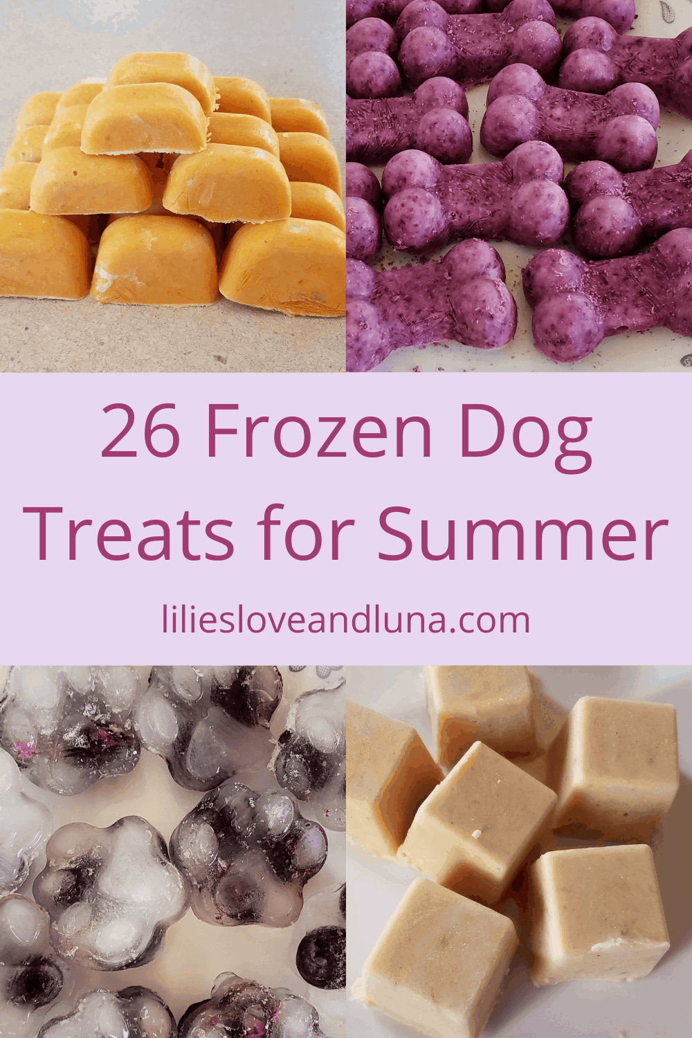 The words 26 frozen treats for dogs for summer with a variety of frozen dog treats pictured.