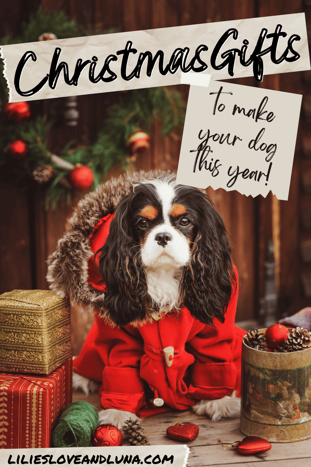 Pin image of a King Charles Cavalier in a red coat with gifts surrounding the dog. A text overlay reads Christmas gifts to make for your dog this year.