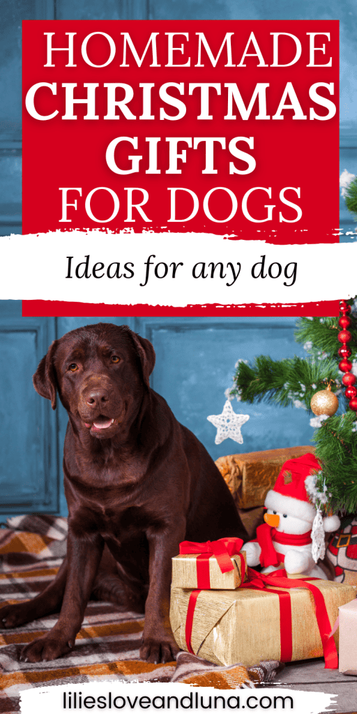 Pin image of a chocolate lab with Christmas gifts. A text overlay reads homemade Christmas gifs for dogs: ideas for any dog.