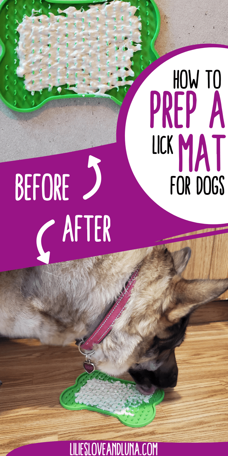 Pin image of a German shepherd with a lick mat.