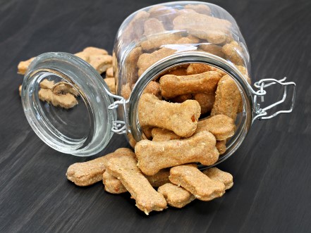 Bone shaped treats falling out of a jar on its side.