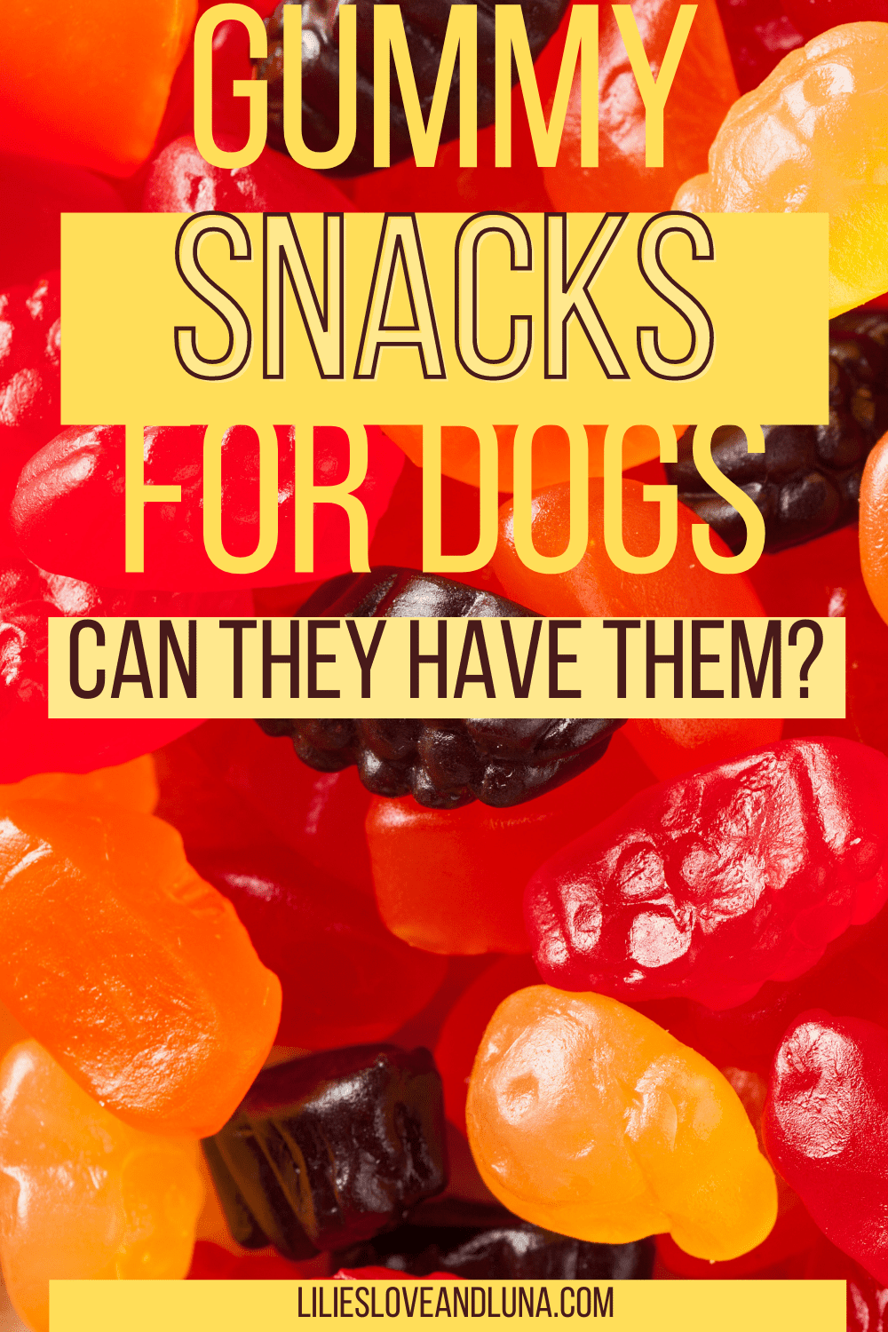 Pin image of "gummy snacks for dogs, can they have them" with a close up of gummy fruitsnacks.