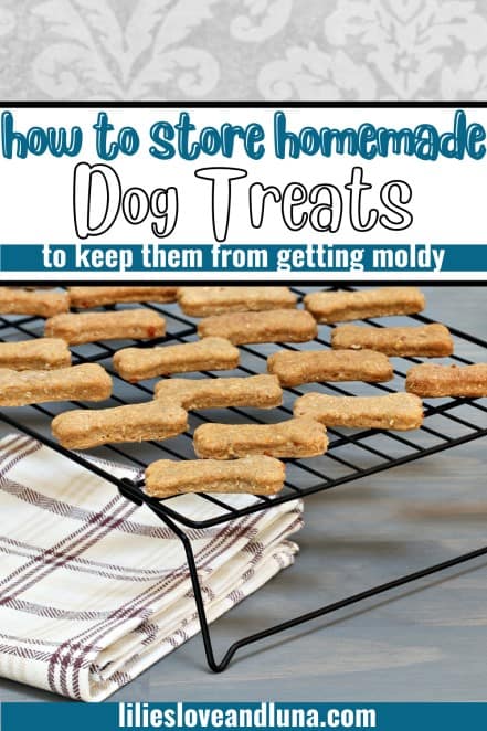 Pin image of how to store homemade dog treats with bone shaped treats on a cooling rack.