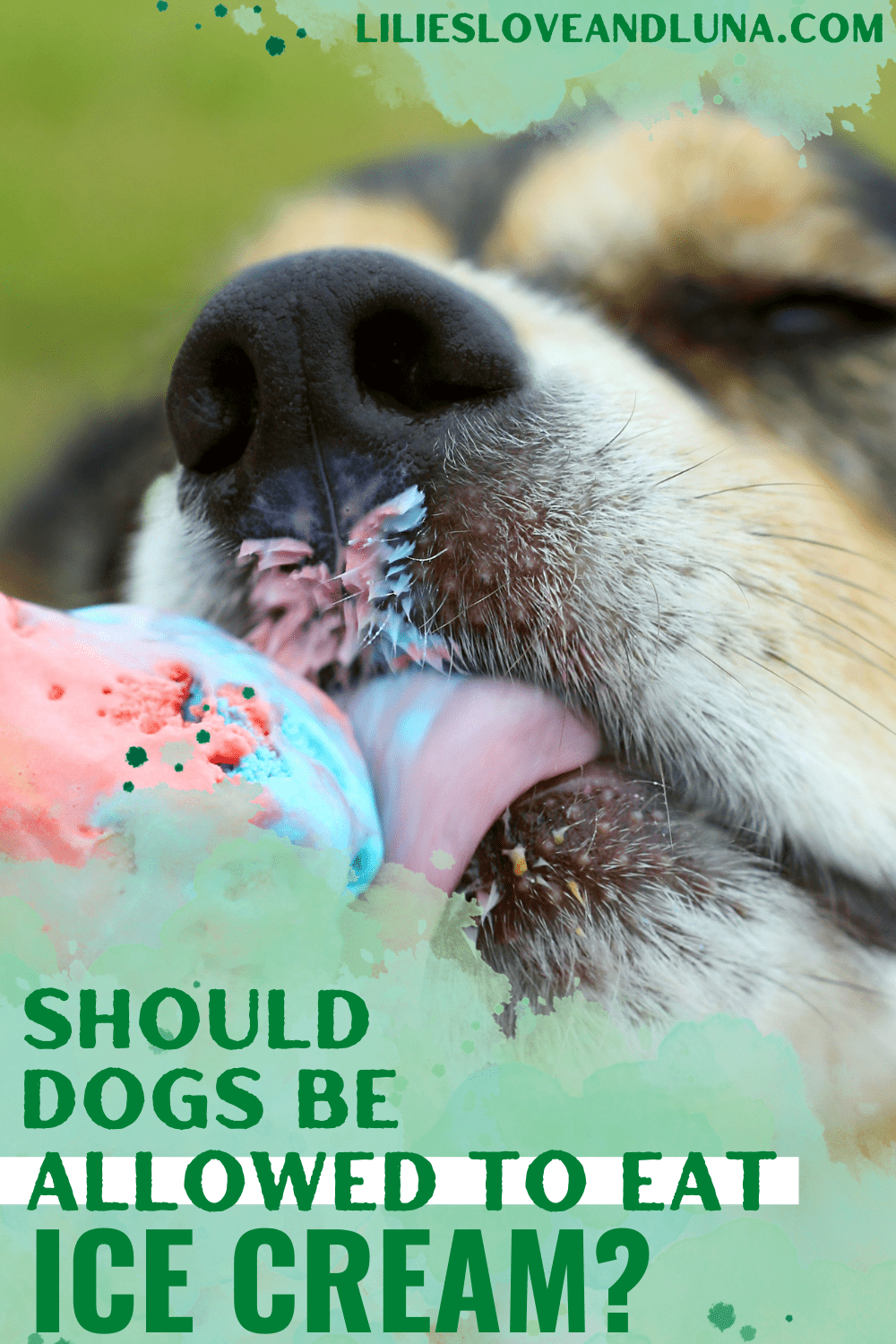 Pin image for should dogs be allowed to eat ice cream with a dog licking ice cream.