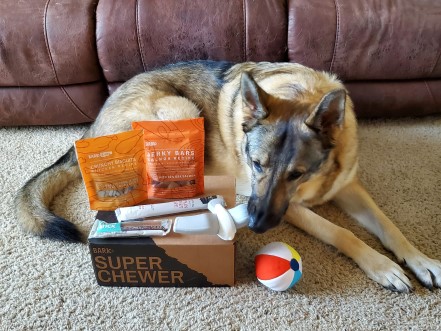 German Shepherd grabbing a bird chew toy off a Super Chewer box.