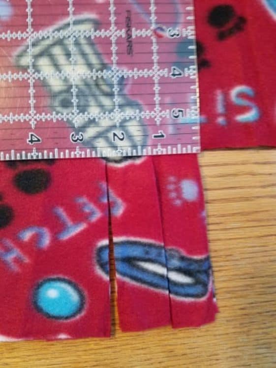 Fleece with 1 inch strips cut into it.