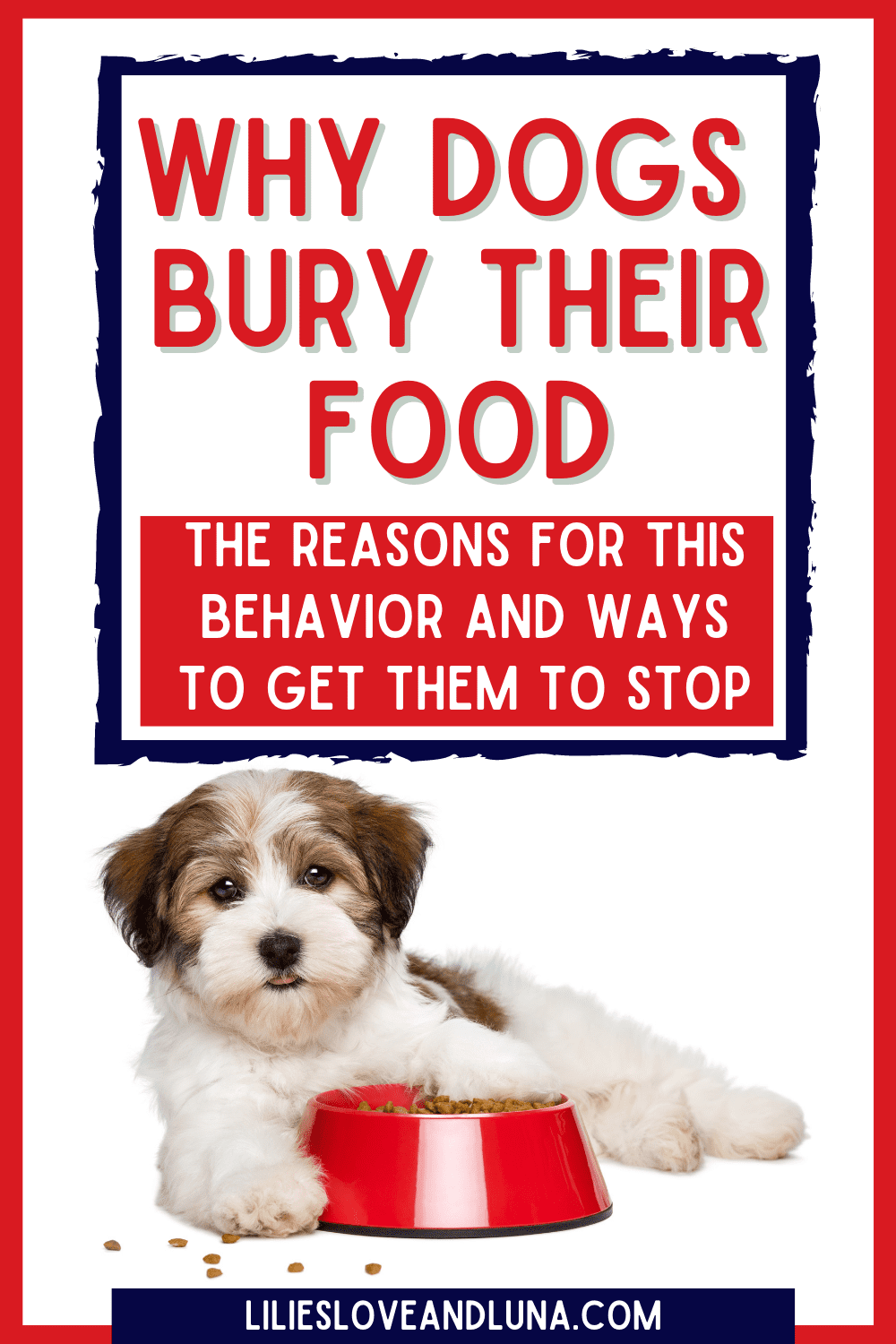 Pin image for why dogs bury their food, the reasons for this behavior and how to get them to stop with a puppy with a spilled bowl of kibble.