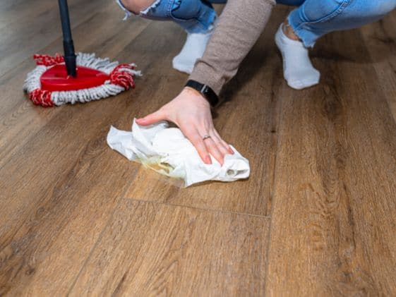 Cleaning up dog pee with paper towels.