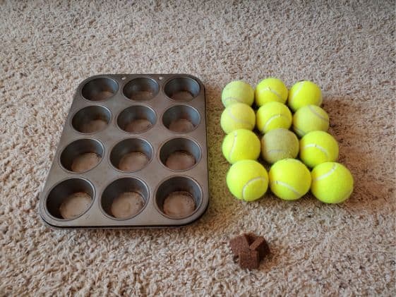 A muffin tin, 12 tennis balls, and some dog treats.