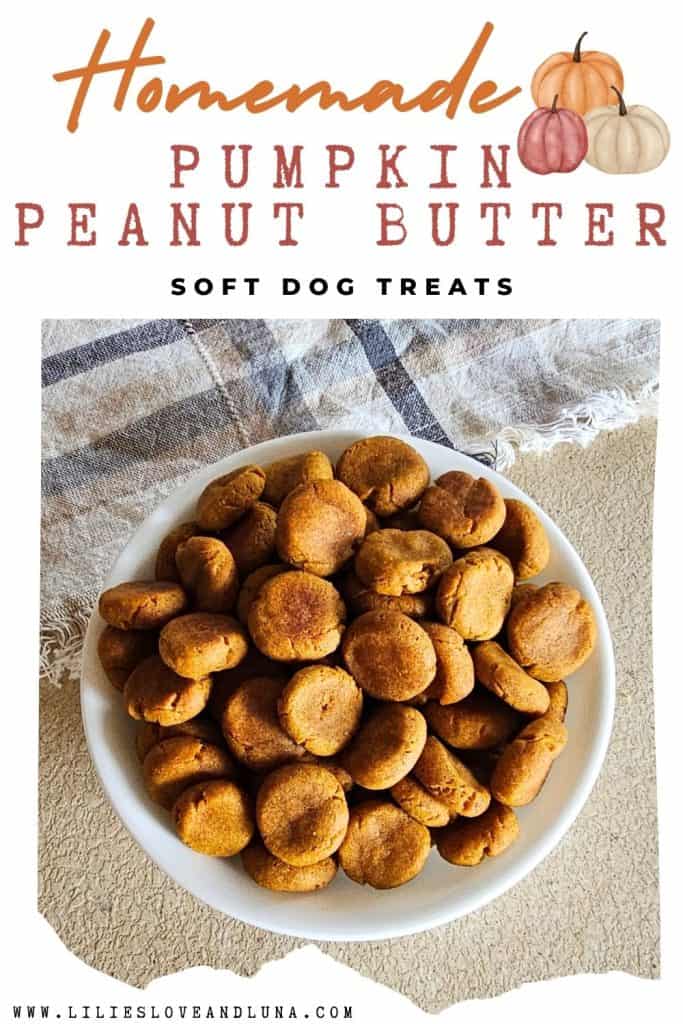 A bowl of soft, round homemade pumpkin peanut butter dog treats sits on a textured surface, surrounded by a cloth and featuring text that identifies the treats as ideal for dogs.