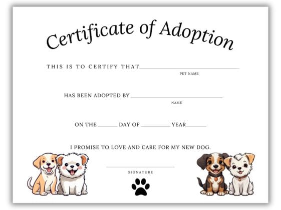 Puppy adoption certificate.