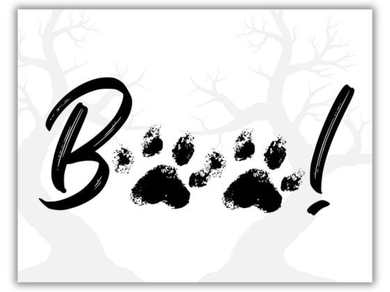 Pawprint Art with the letter B followed by two pawprints to make the word "boo!"