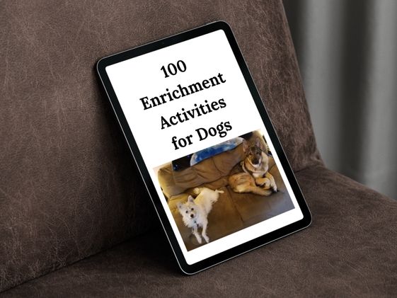 A mockup of a tablet with the ebook 100 Enrichment Activities for Dogs showing.