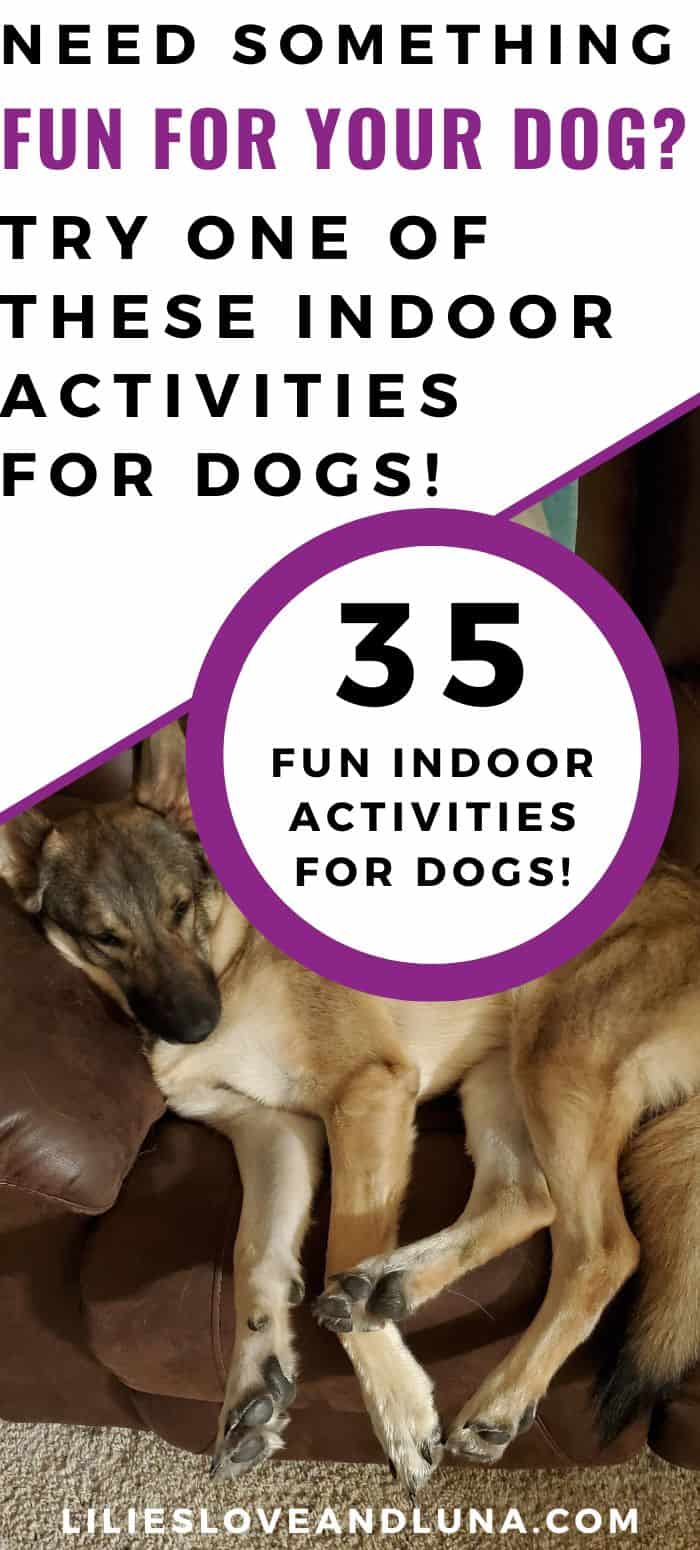Pin image for 35 fun activities for dogs with a picture of a sleeping German Shepherd.