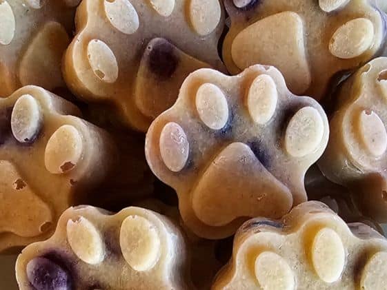 Closeup of paw shaped frozen applesauce dog treats with blueberries.