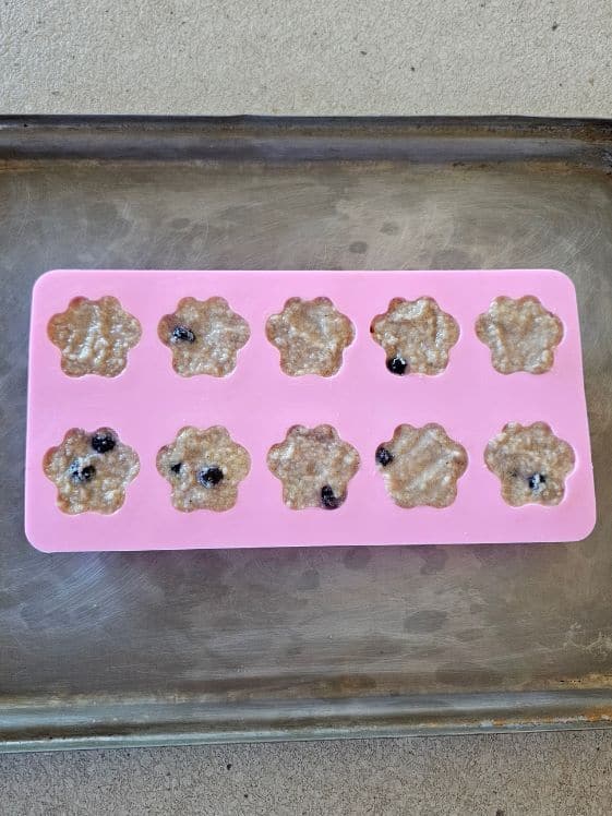 Applesauce treats in paw shaped molds ready for the freezer.