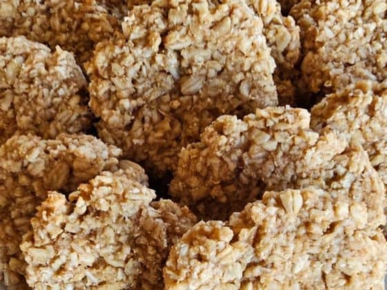 Close up of oatmeal applesauce dog treats.