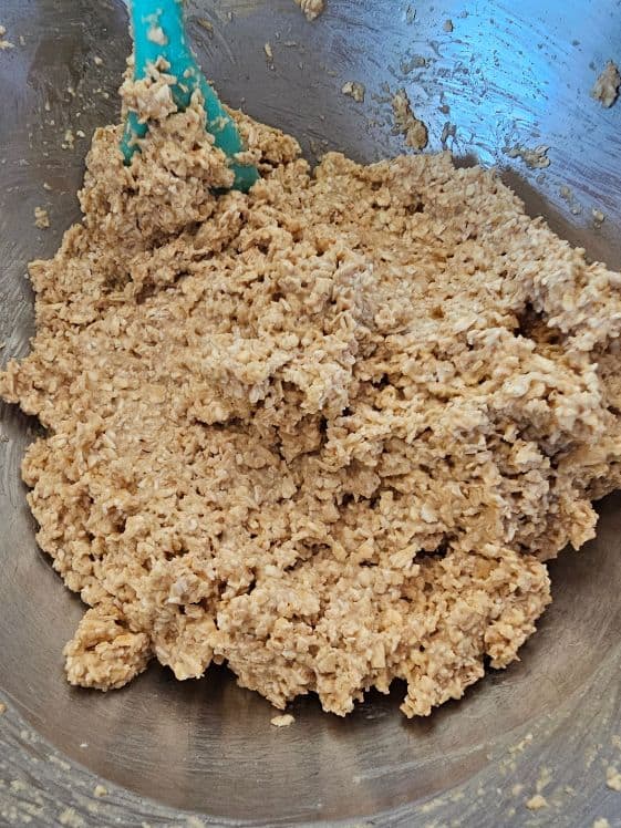 All the ingredients mixed together.