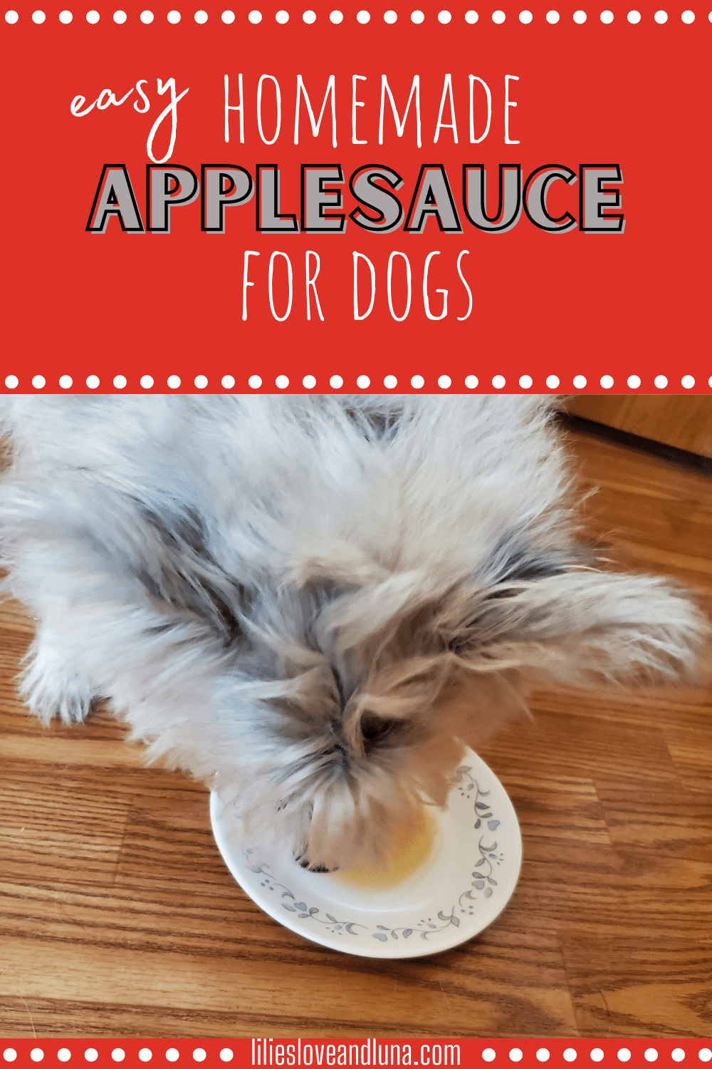 Pin image of easy homemade applesauce with a picture of a poodle terrier licking a plate of applesauce.