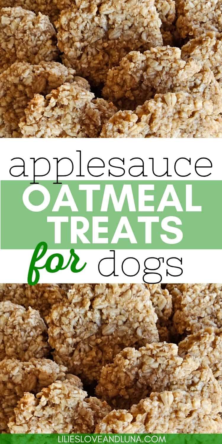 A close-up image of homemade applesauce oatmeal treats for dogs, showcasing textured rounds made from oats and applesauce.