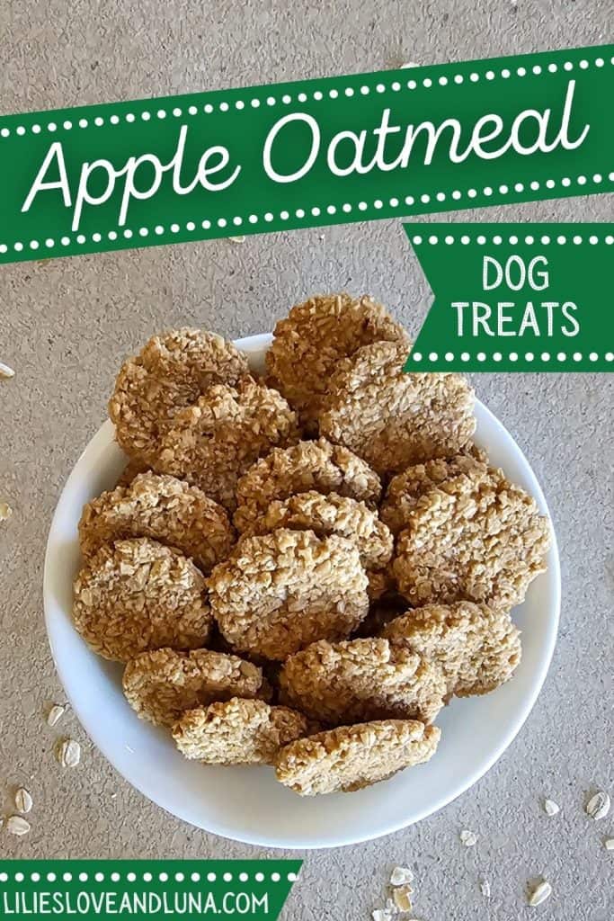 A bowl of apple oatmeal dog treats is presented on a textured surface, highlighting the homemade, healthy ingredients suitable for dogs.