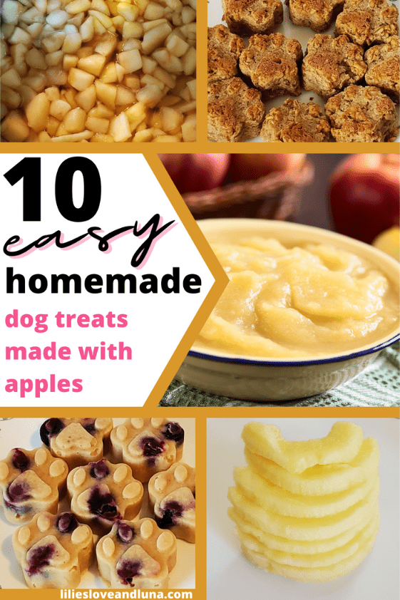 Pin image for 10 easy homemade dog treats made with apples with pictures of applesauce, apples, frozen applesauce treats, and baked applesauce dog treats.