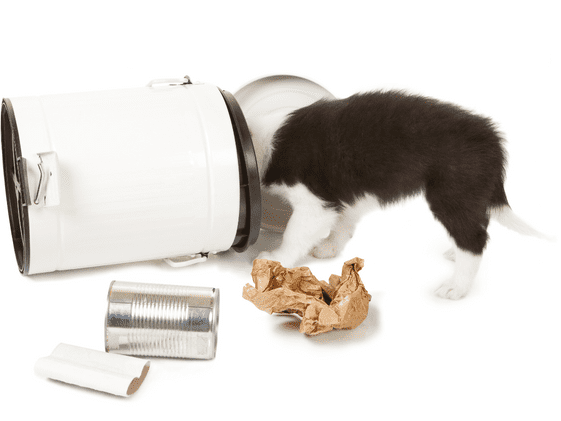 A puppy with its head in a spilled trash can.