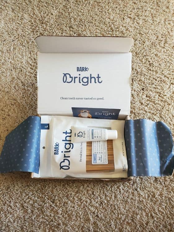 An open Bark Bright Dental Kit box showing the bag of dental chews and dog toothpaste.