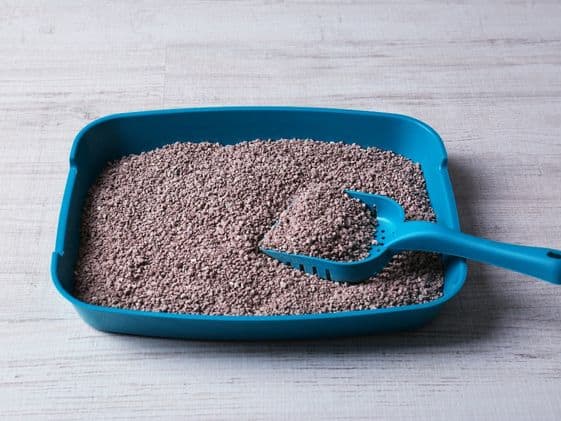 A clean litter box with a litter scoop in it.